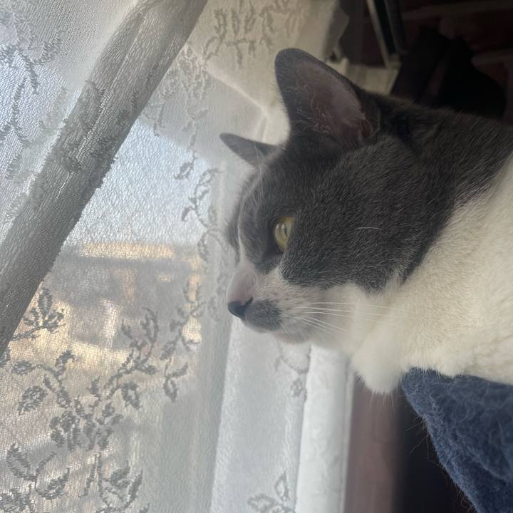 C6ece606 c942 4624 a2da 098528f55050 1687123807971