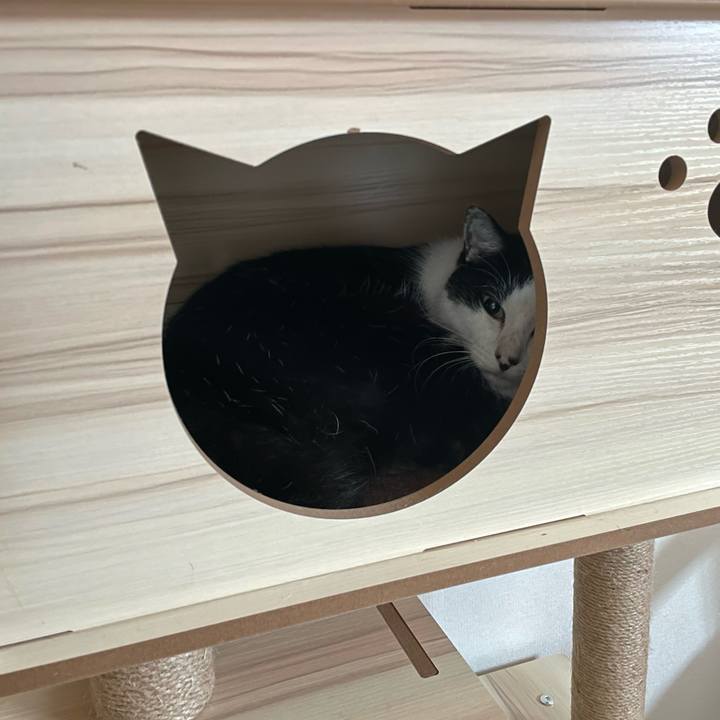 C6ecec4a 9586 4367 beaa 58d9aa8c608a 1661894415970