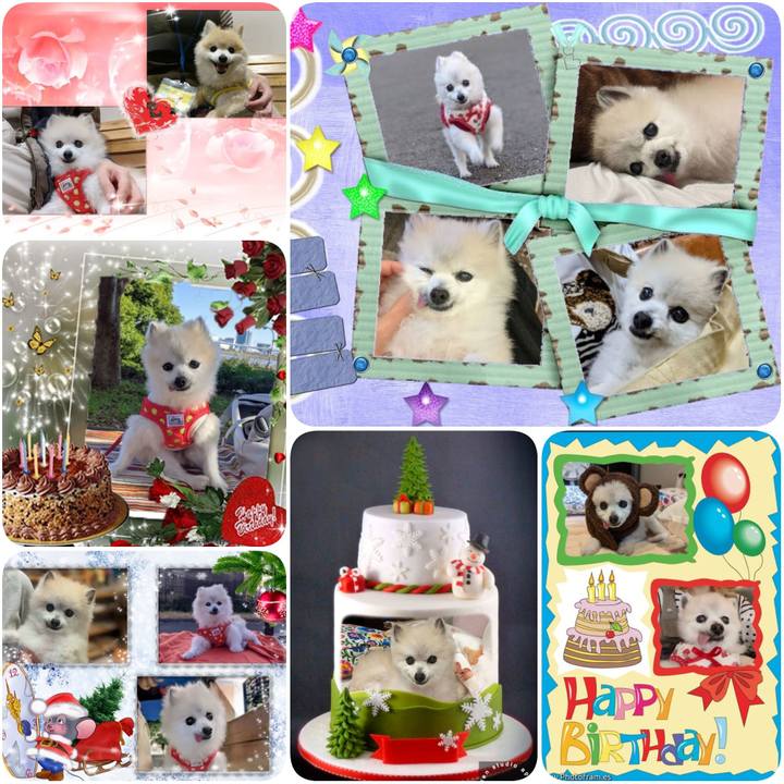 C6ecfd7a e0c9 4d3c 9787 34d2e0ddad44 1640301715828