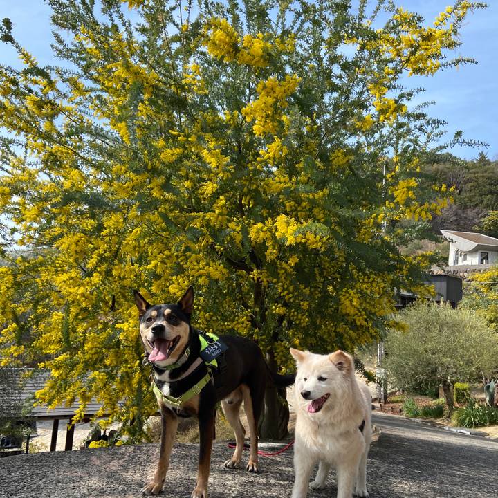 C6ed09a5 a8e5 4be8 ac54 77bfeae432ef 1678677072483