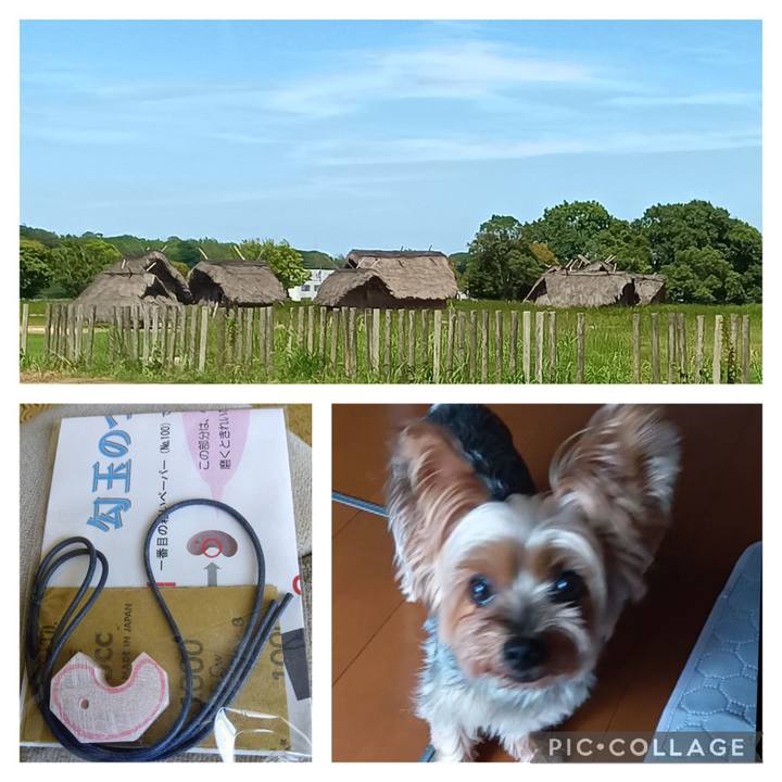 C6ed91ec a3f6 4b42 9f77 a5a634a7abdb 1753858560340