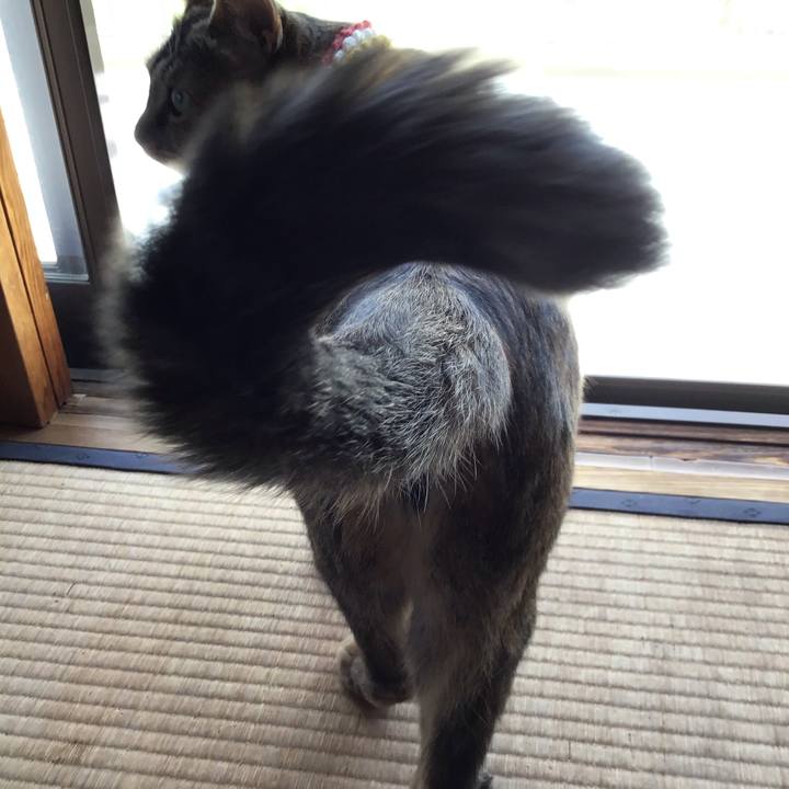 C6ed9f5e 0e3c 43a7 9df0 e78545f1bb5a 1622514967758