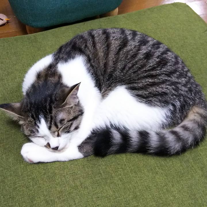 C6eda61f 3811 4daf a075 dd04962eb590 1617104636083