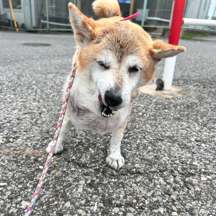 C6edb779 a51a 4d21 935d f141eb6fc8ca 1761880574618