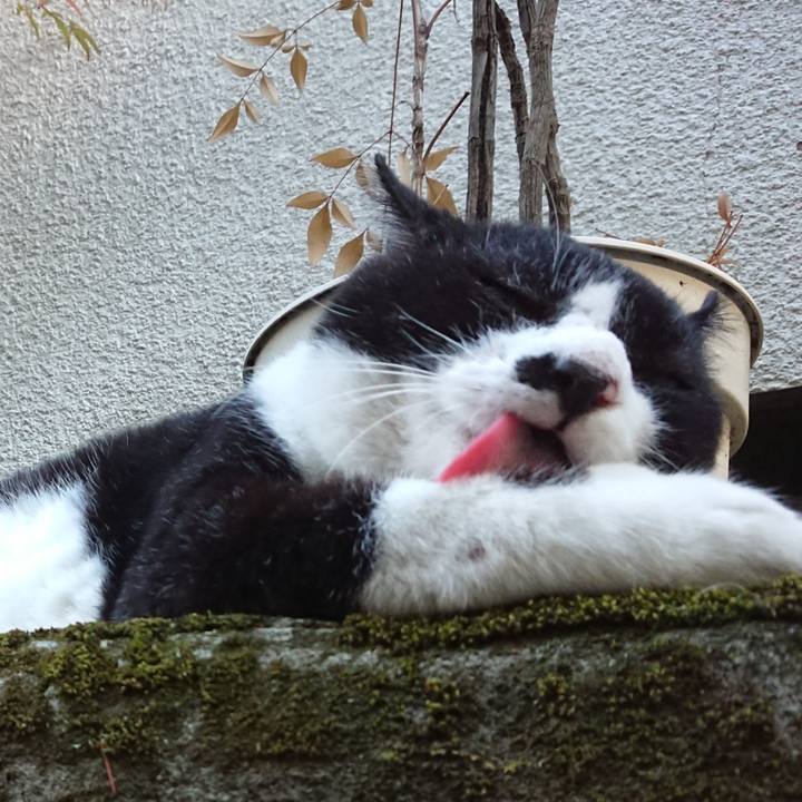 C6edc799 9120 485e adb4 6118bdb6e541 1599206012123