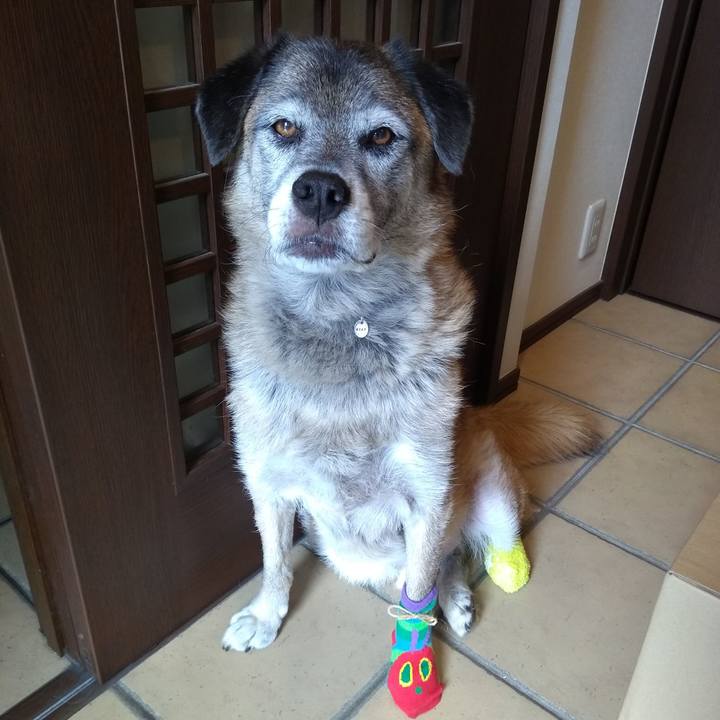 C6ee0142 8ad1 47a4 8ac7 bd85c4fae021 1568856627858