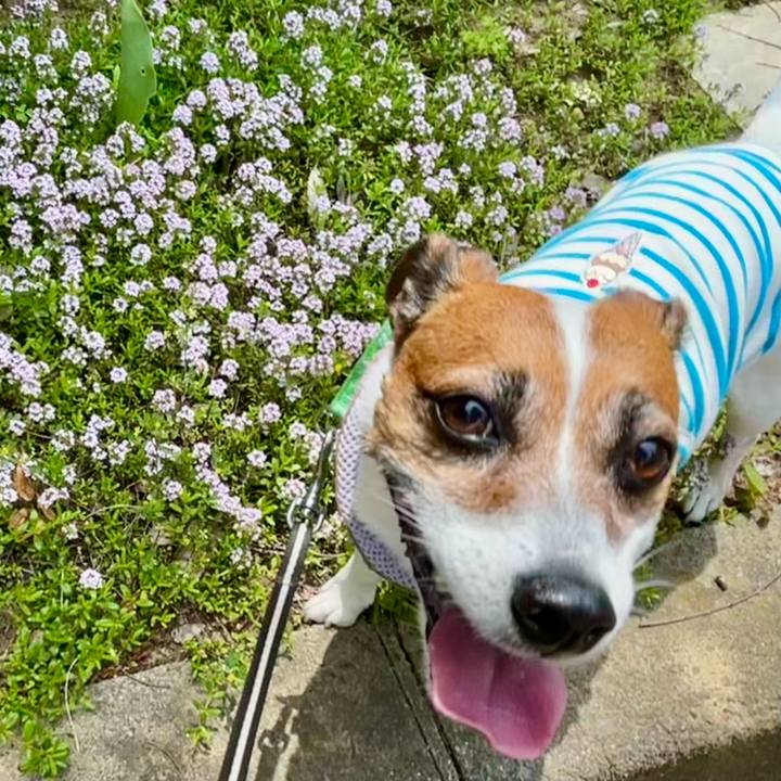 C6ee26a2 ee96 442d 8dbc 9884e3df3920 1747386166198