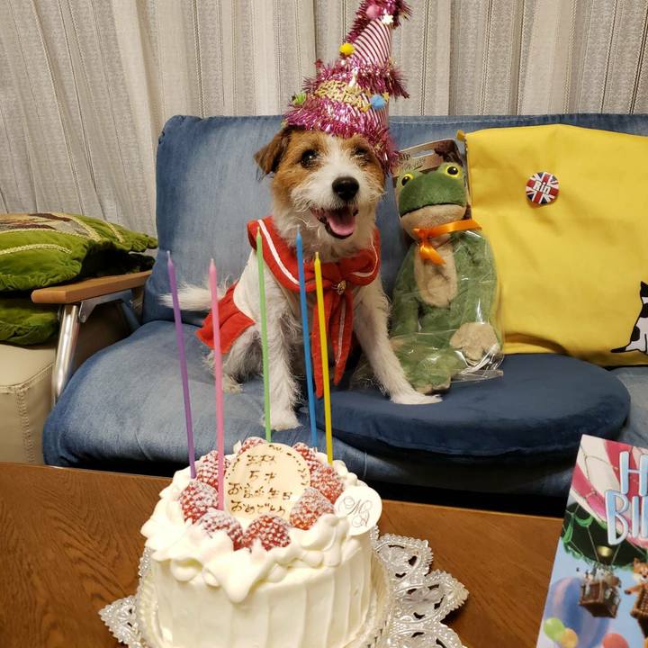 C6ee3c2a 8373 43d4 b0d9 6e177755e552 1635516356083