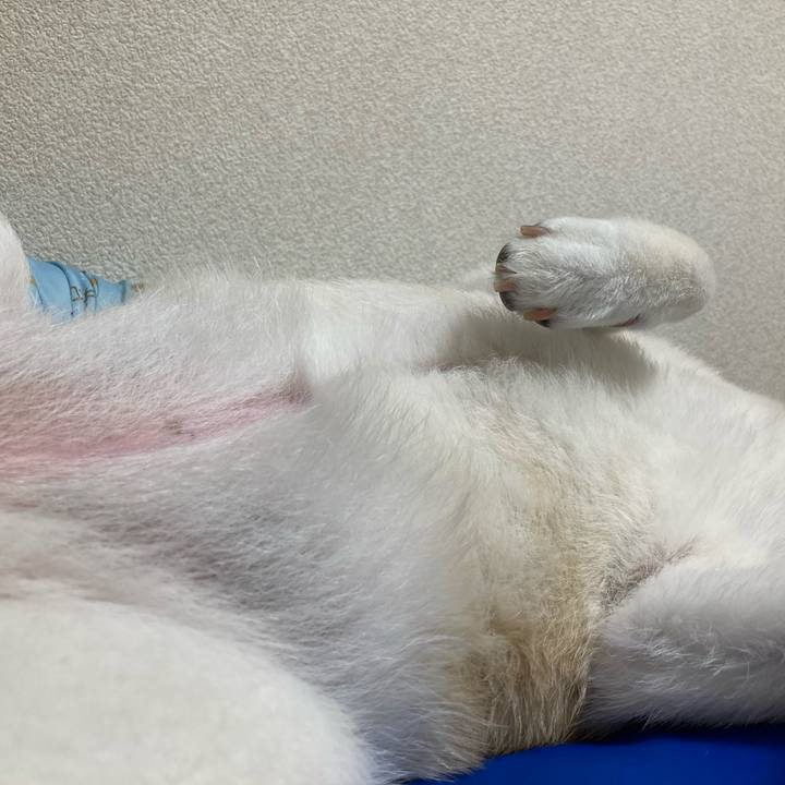 C6ee5554 75f9 4291 8d50 21c84a82d770 1627722773278