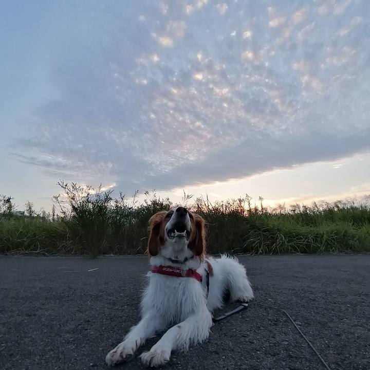 C6ee8923 ac82 40b6 9a90 8b2055f68b01 1570447240457