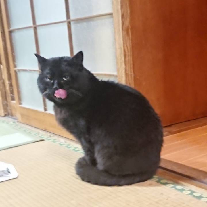 C6ee9eff f439 4249 83d8 10fade40a2c1 1615642873261