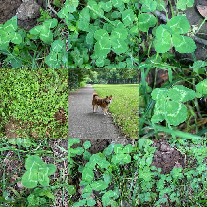 C6eead31 2544 4443 a635 85f0c402da32 1655437866416