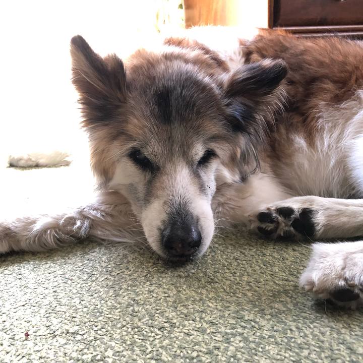 C6eebe00 5bf4 4cf6 882a 006dbb03e753 1555297302042