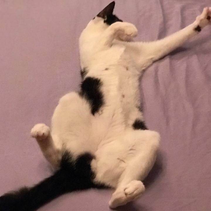 C6eee193 ded5 4ed4 9011 e2442a8e28c3 1541903898426