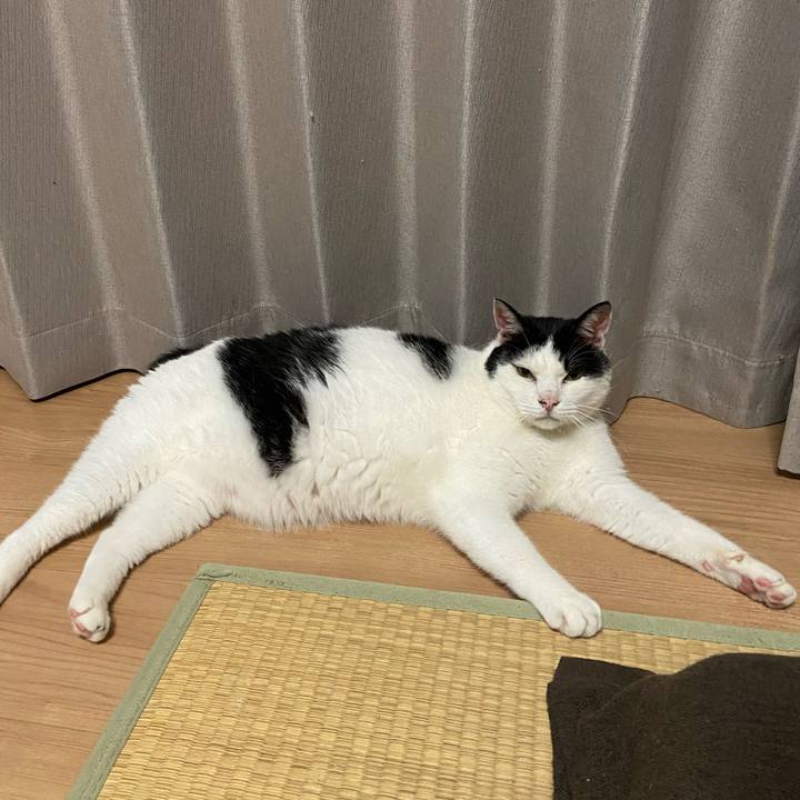 C6ef29bc d157 442c aa39 80c5e7ef563c 1596453734734