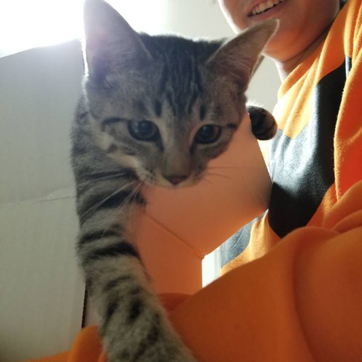 C6ef6598 1a3b 480e 86d8 2e2980c117f8 1666533147016