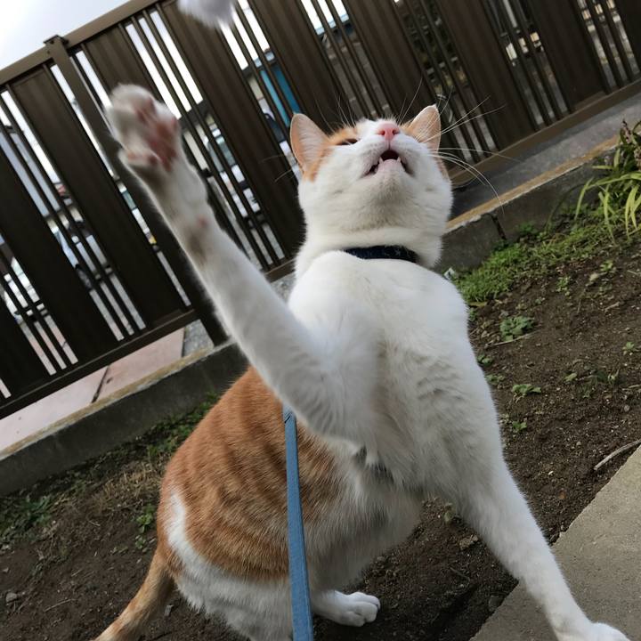 C6ef7a23 6686 48c6 9a4f 104c33173d07 1512193052546