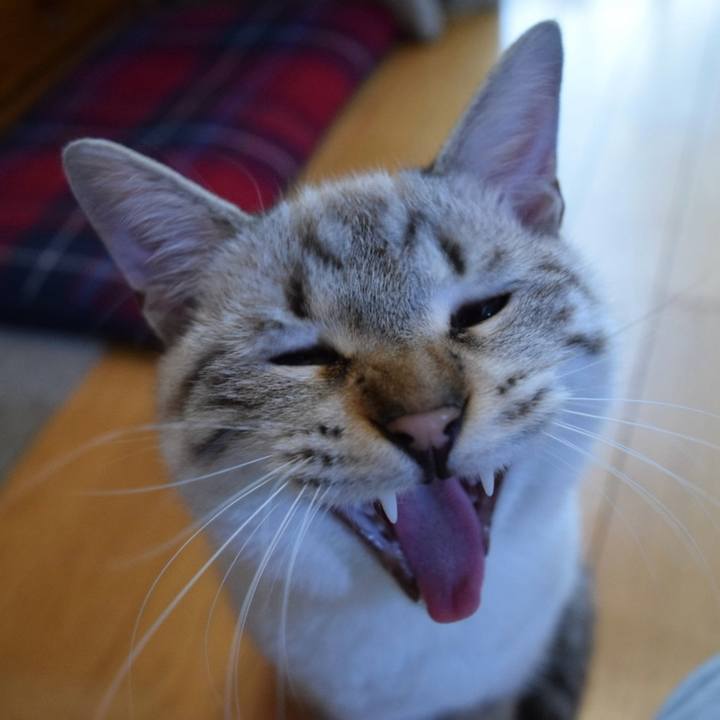 C6efdab9 3ad9 4764 9def ba97e3bb025d 1736584638273