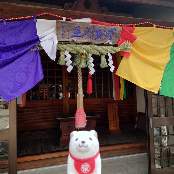 C6efff4f ed8e 47cf 9b4b 45e8e5088e39 1767174785973