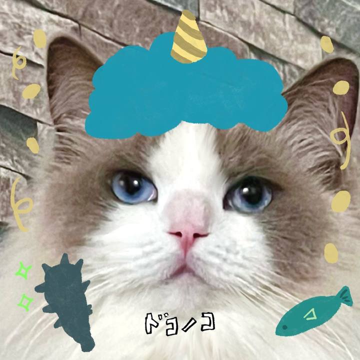 C6f02bc5 e4cd 48c8 b306 00df9f9d4fbe 1706864390719