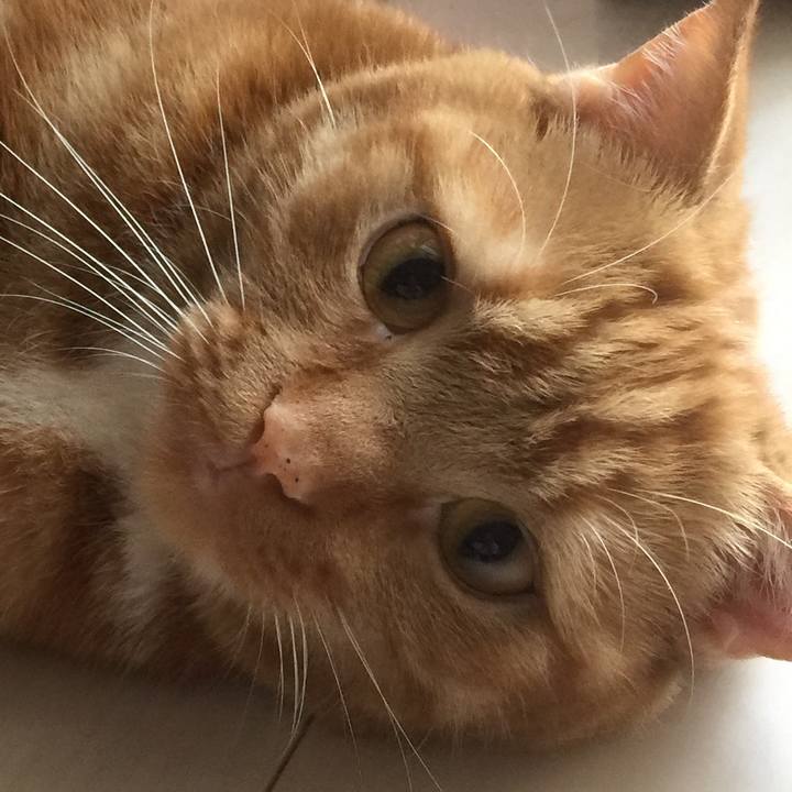 C6f03f4f b768 44f4 9c3a 1762ffa987ed 1558766230612