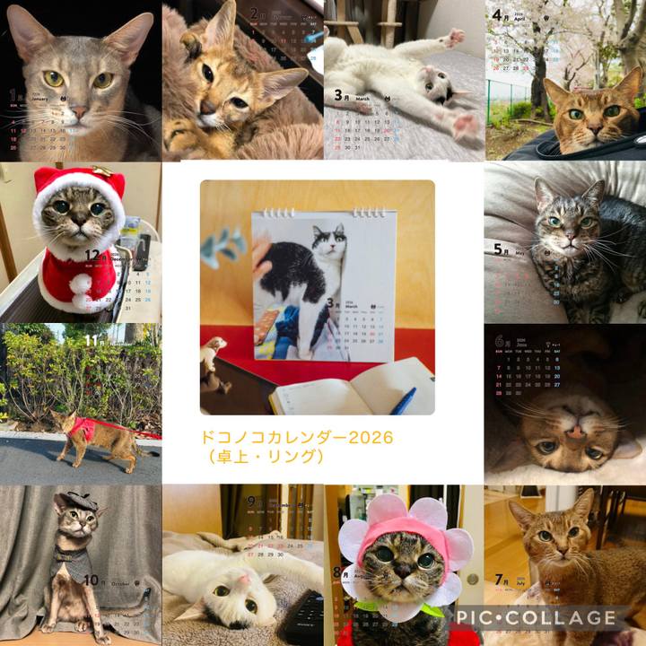 C6f06c75 0c31 49f2 a89f 7863969039d4 1764221682188