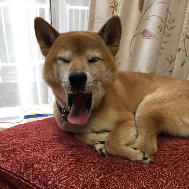 C6f06f60 b293 4a0d 9939 09d4ecd65a91 1508906608369