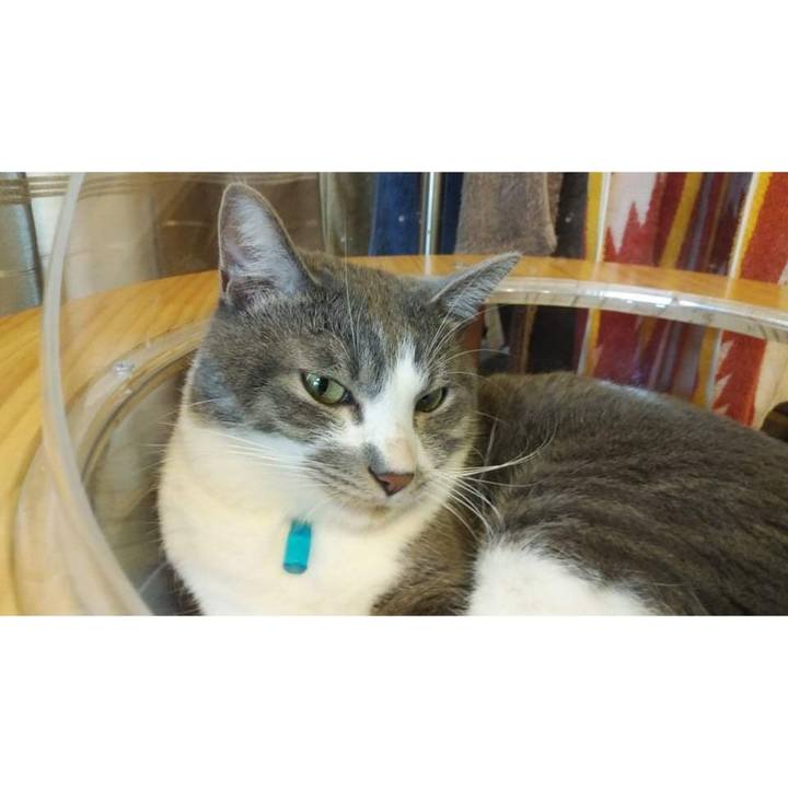 C6f0783f 72b6 41eb 9eec f9b9f76ba67d 1627544841839