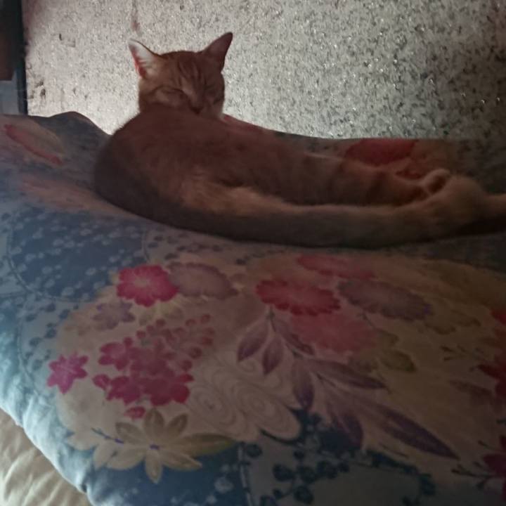 C6f0b43e d35a 4bd2 a1fc 74593feaba1e 1594423549758