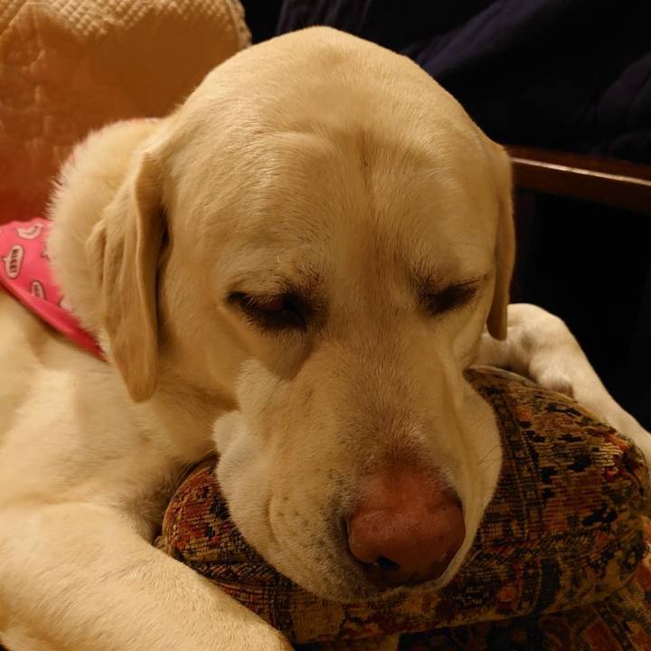 C6f0f6b0 a89c 403b 8eed 48691d32afec 1644495031187