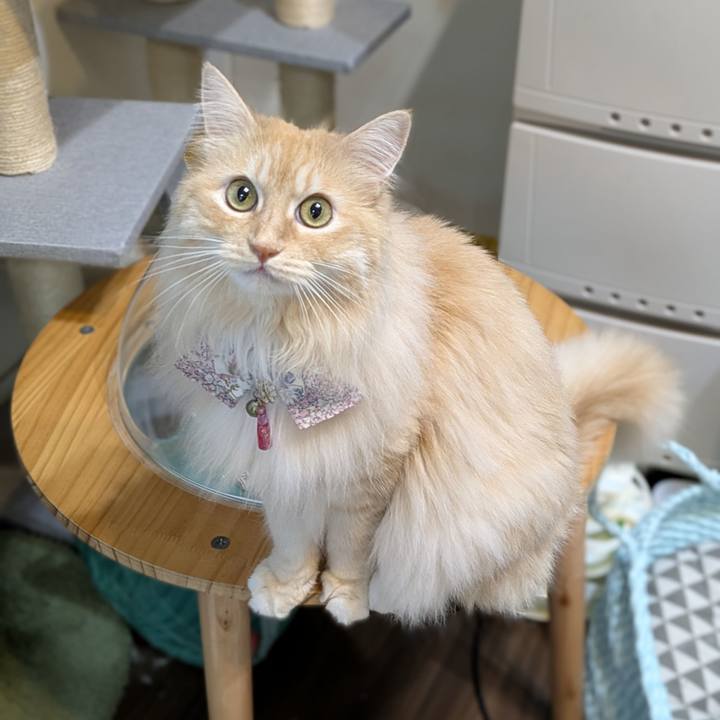 C6f13a1f 4ee6 4b93 93be 72b42977fc5e 1753958795046