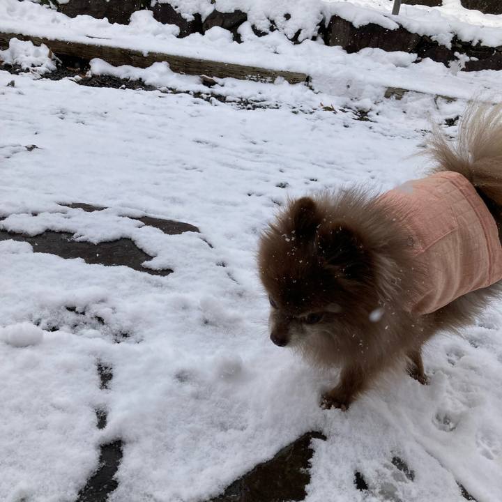 C6f1cdef 5504 479c b860 21756de45a24 1670117291830