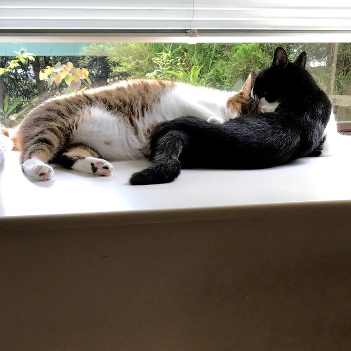 C6f1d3f8 74cf 4070 85cc 96ddbfd4af24 1568693654142