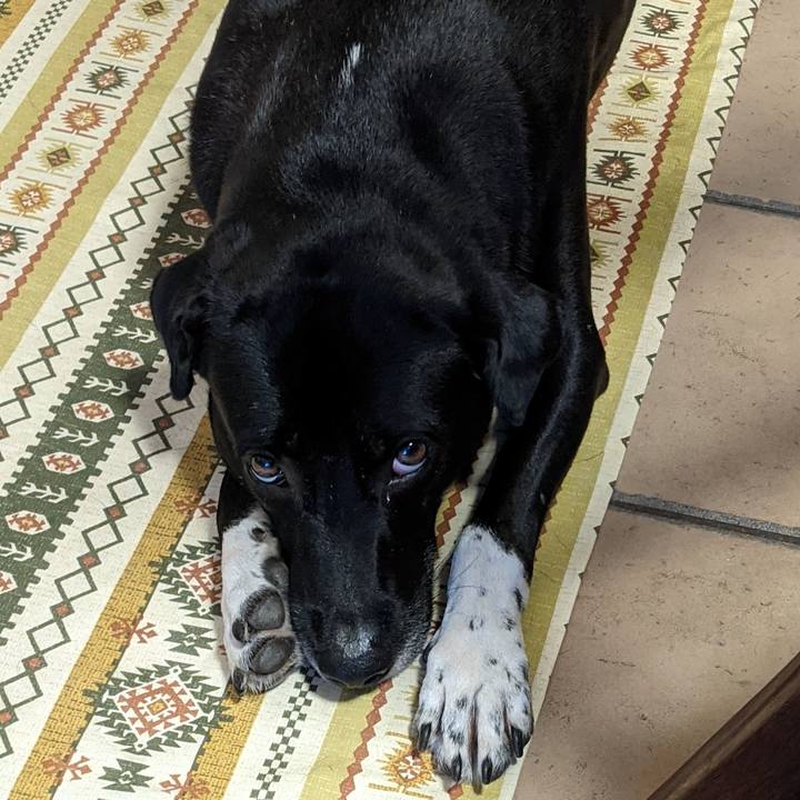 C6f1debe f5d1 4358 811f f6b7af611923 1630061664317