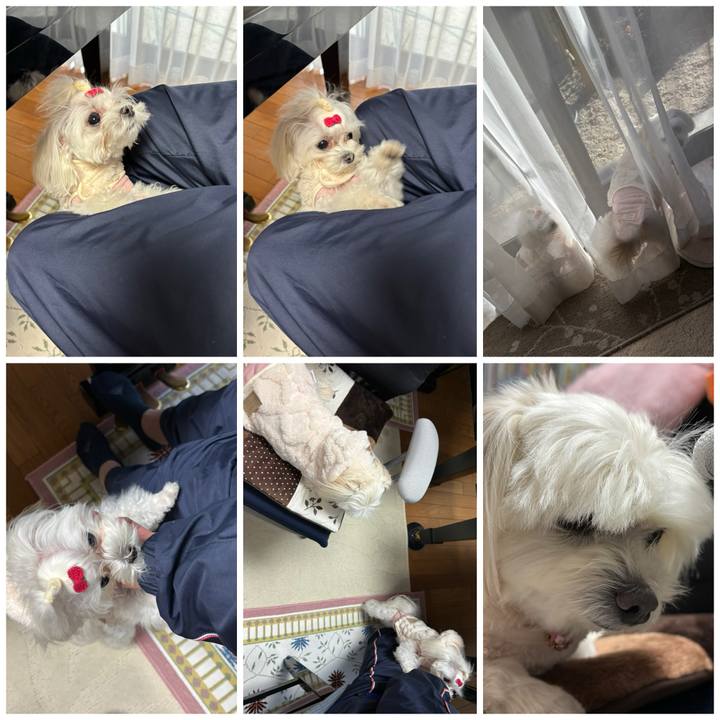 C6f255d5 700a 4700 bfd6 25997ad464d6 1738745266367