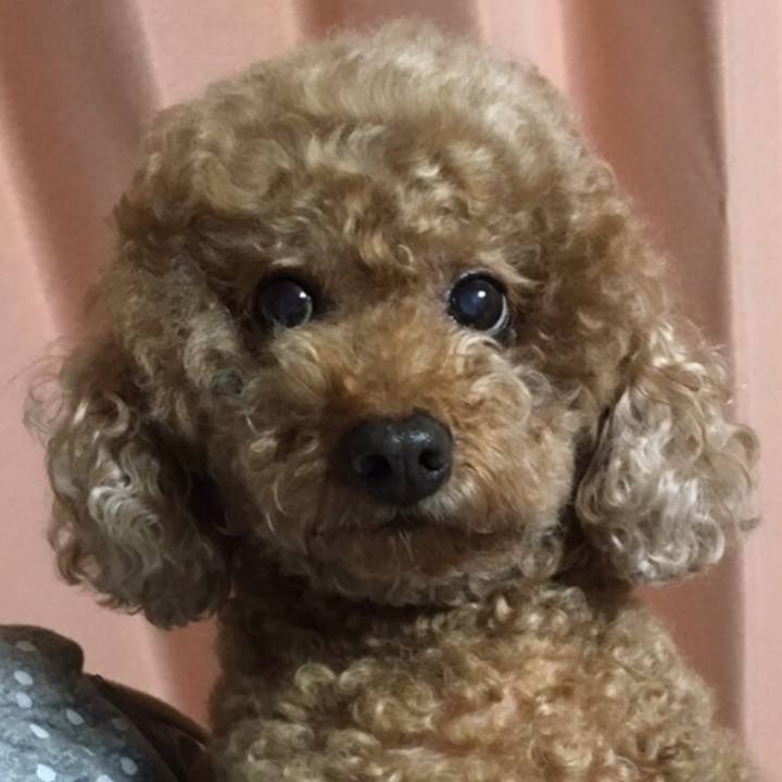 C6f27202 dc71 4252 95f8 4d8c095c535a 1575639557665