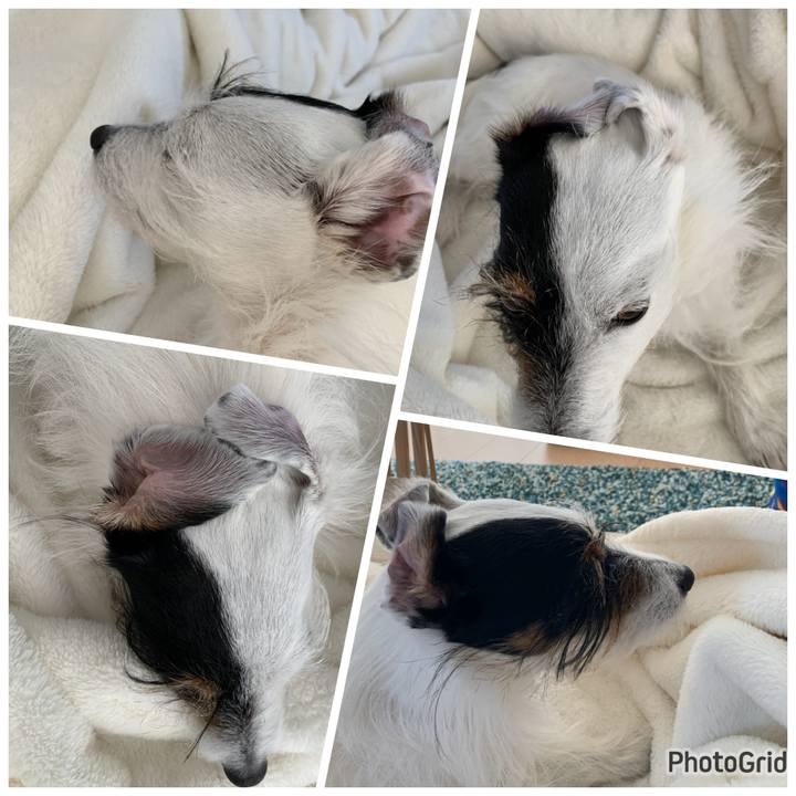 C6f2a189 7bd7 493e 98f2 684714b2b421 1677646946576