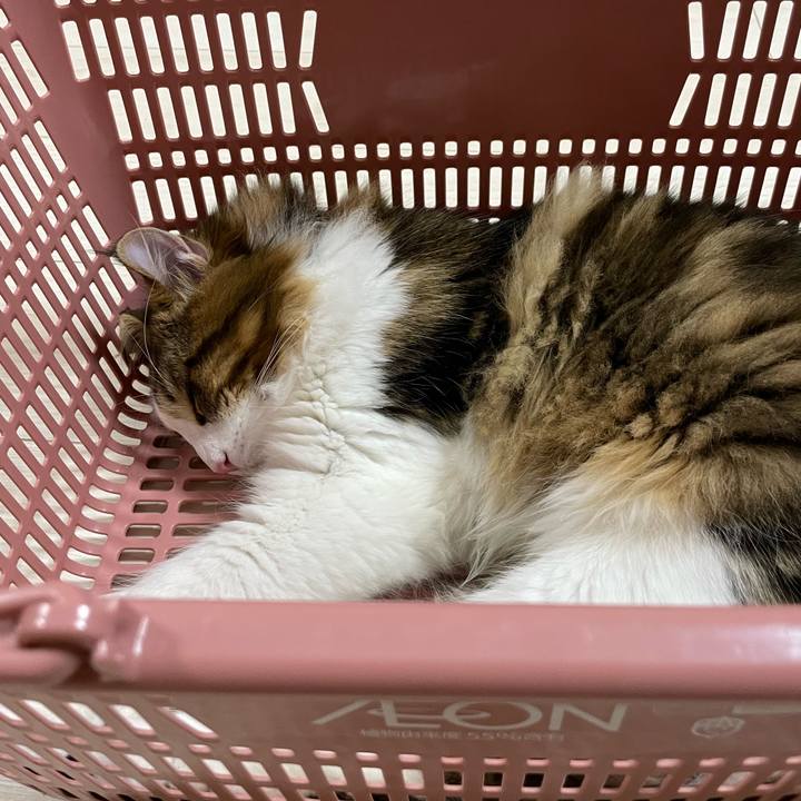 C6f2a1a0 37ae 44b8 8a30 baeca1166842 1641714291469