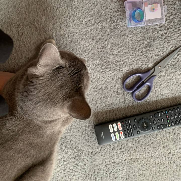 C6f2aa16 e264 47cc b54b 658a8211c897 1631662743369