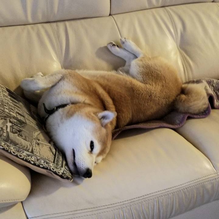 C6f2e2dc a7a8 488d 9b38 f9a8cc488a5a 1638660401095