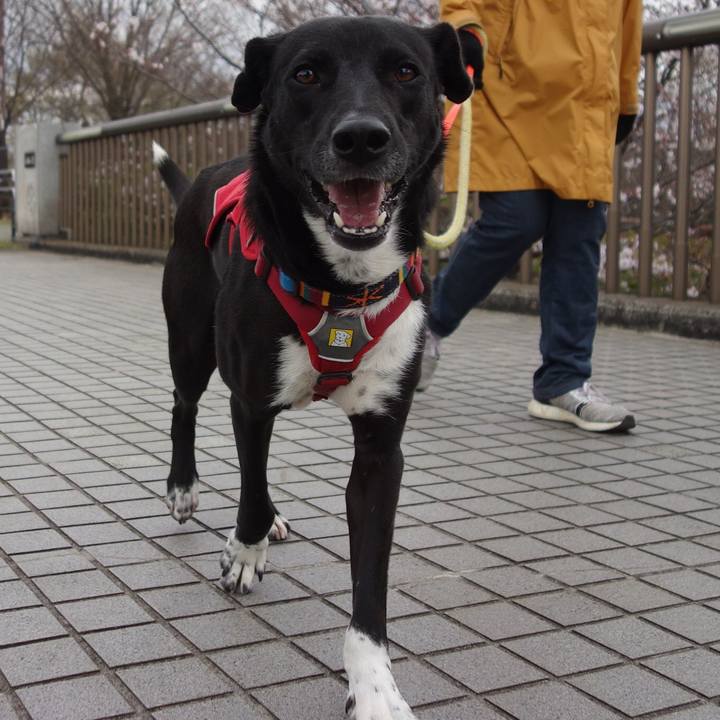 C6f30765 9d79 43e8 9e24 a6f80b1586de 1584923523046