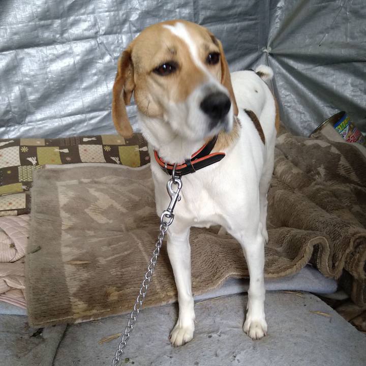 C6f30fc3 d66c 4fca 86d5 3fcea39aa179 1621841011346