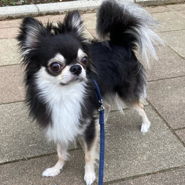 C6f3198e e164 432c bae9 4b3121f3e11a 1662867313022