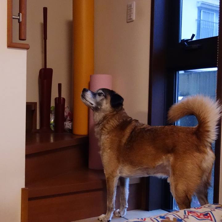 C6f32e0f 2829 468a 9883 a220e66a52a7 1574902576933