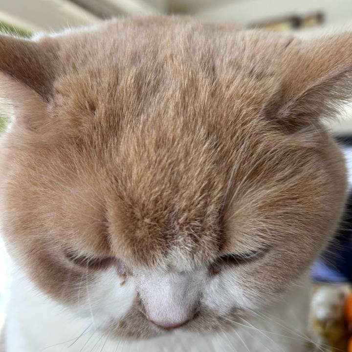 C6f3438c 3a85 44f1 9f02 2da5bbf0649a 1706576492952