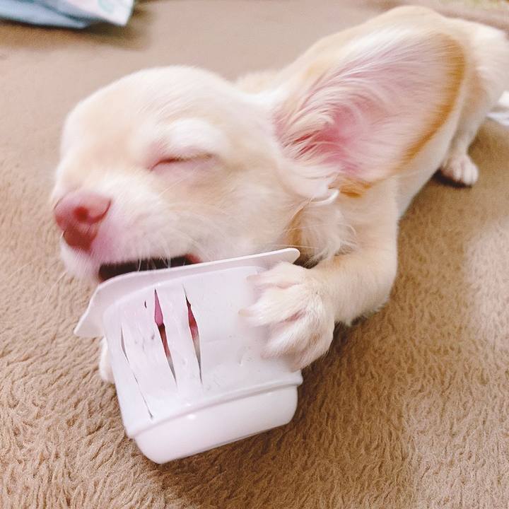 C6f35c5f 1b7e 4bf6 a175 e35430af4870 1595905163801