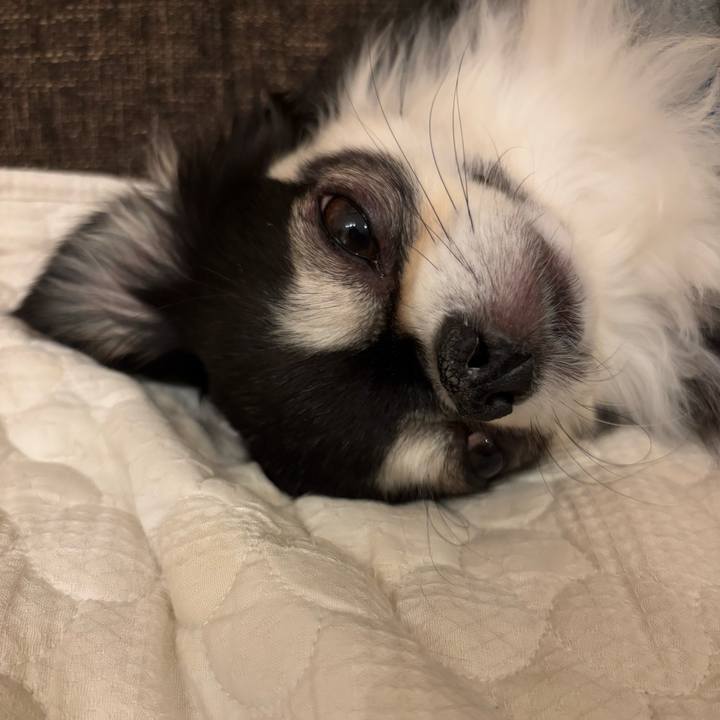 C6f36446 931f 4277 94f6 17ee991a96f3 1742487353679