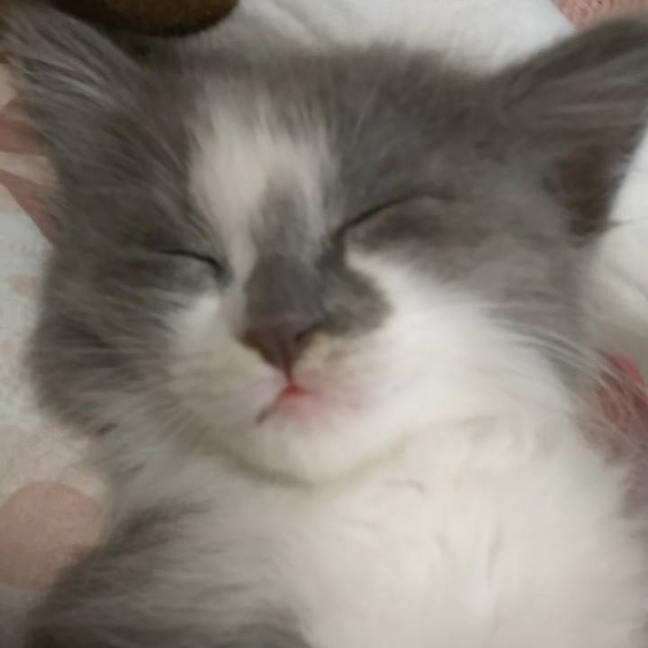 C6f379da efd2 496f ba11 08e382e96c46 1560125925447