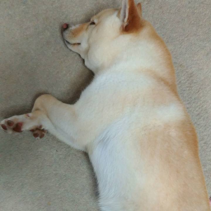 C6f38a64 01b8 4482 bb15 0eb553c37700 1524660040805