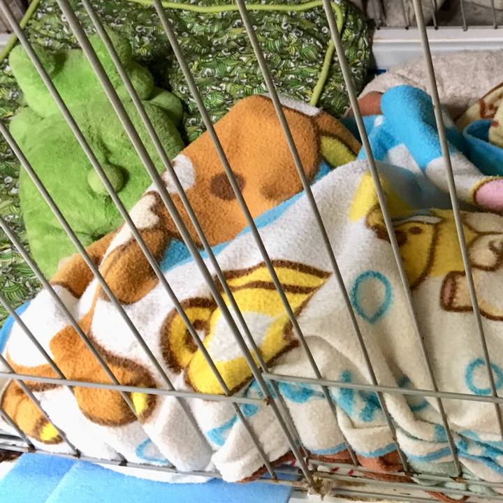 C6f38af2 fc27 4cb8 8523 db459e50f380 1537503278076